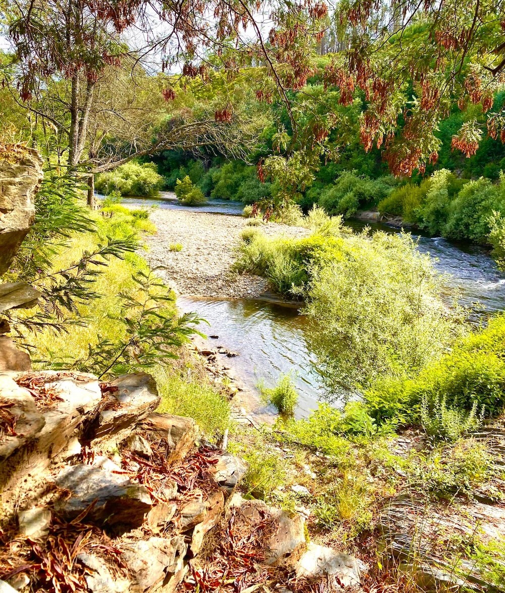The rio Alva at Vale Mioto
